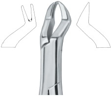 Tooth Ext Forceps Amr