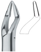 Tooth Ext Forceps Amr