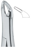 Tooth Ext Forceps Amr