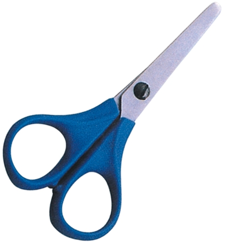 Plastic Handle Scissors